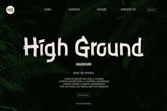 Zelioon Wild | Handwritten Font