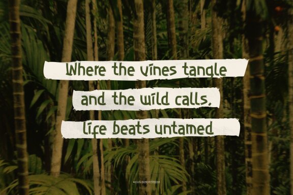 Zelioon Wild | Handwritten Font