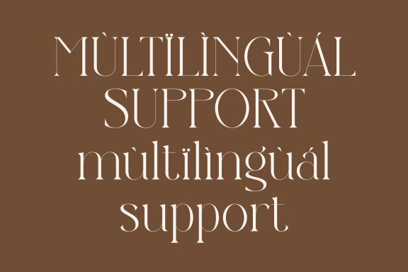 Northen Glitch Modern And Elegant Serif