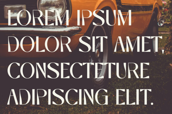 Sunny Volgen A New FREE Sans Serif