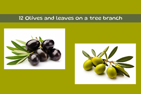 Olives and leaves on a tree branch