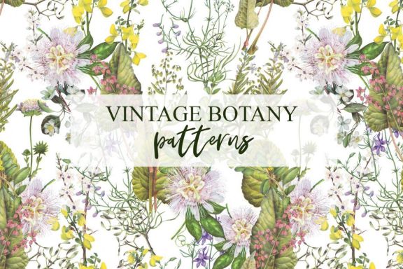 Retro botanical plants, vegetables and mushrooms patterns set