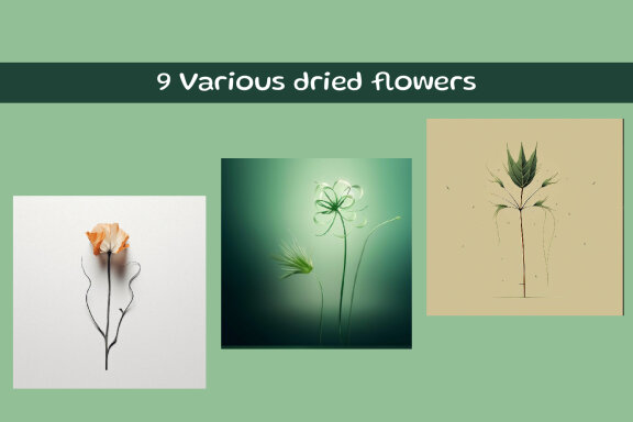 Various dried flowers