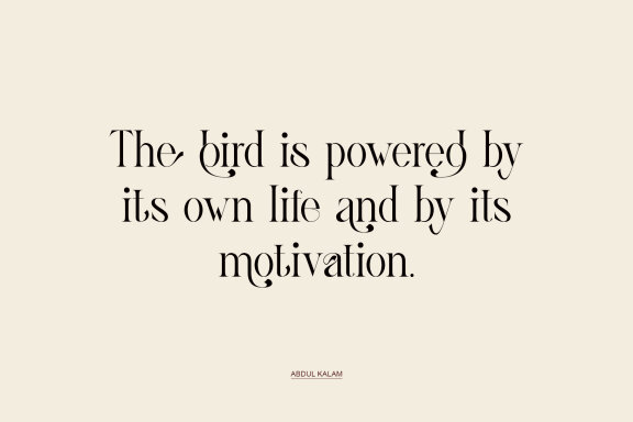 Ghina Ligature Serif Typeface