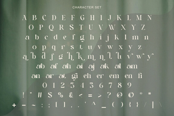 Kilgis Elegant Modern Typeface