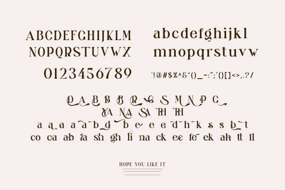 Blingh Ligature serif typeface