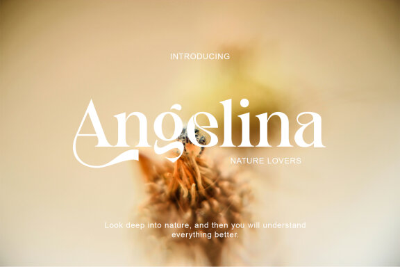 Blingh Ligature serif typeface
