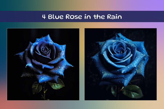 Blue Rose in the Rain