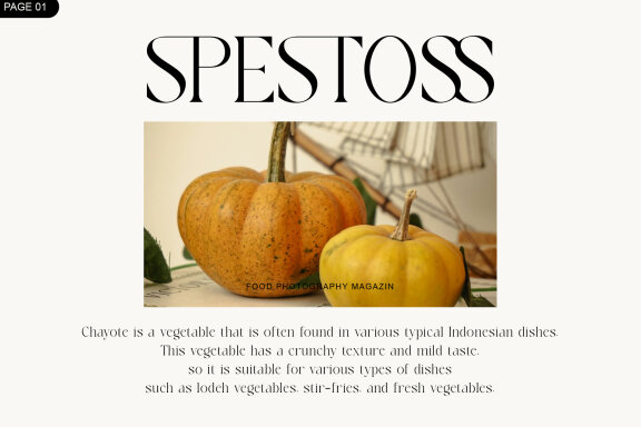 Maldifa New Modern Elegant Serif