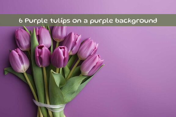 Purple tulips on a purple background