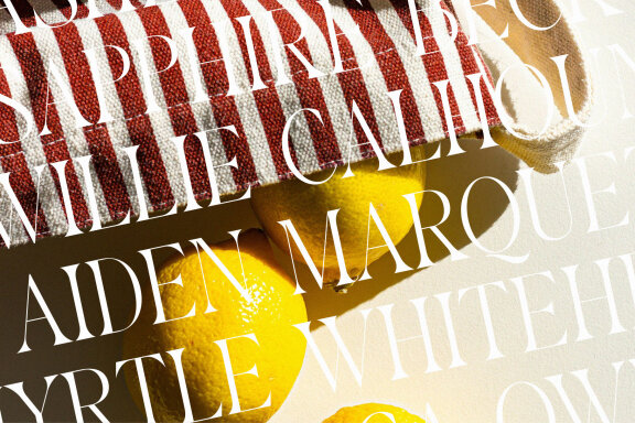 Rosbean An Elegant Modern Serif