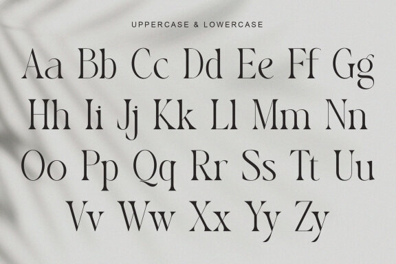 Rosbean An Elegant Modern Serif