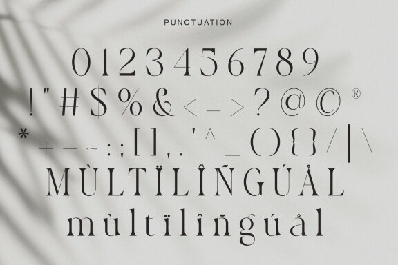 Rosbean An Elegant Modern Serif