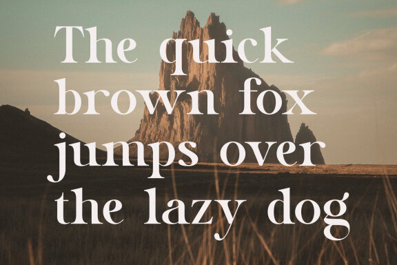 Laver Losster Minimal Luxury Serif Font