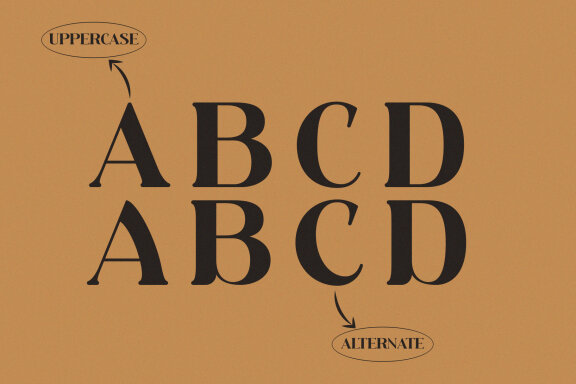 De Gyubee Modern Serif Typeface