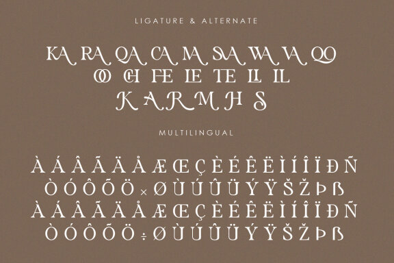 Romans An Elegant Serif Font