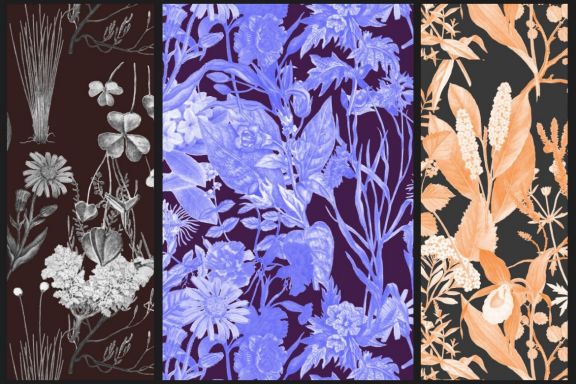 Vintage Botanical Patterns