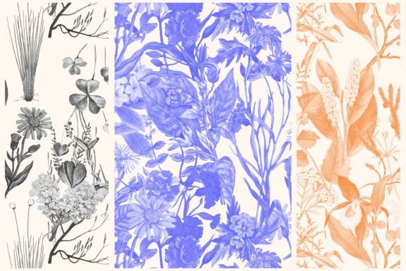 Vintage Botanical Patterns