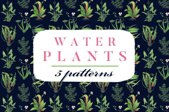 Water Plants Patterns