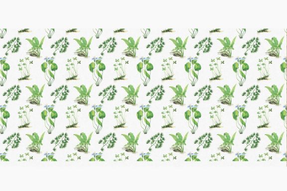 Water Plants Patterns