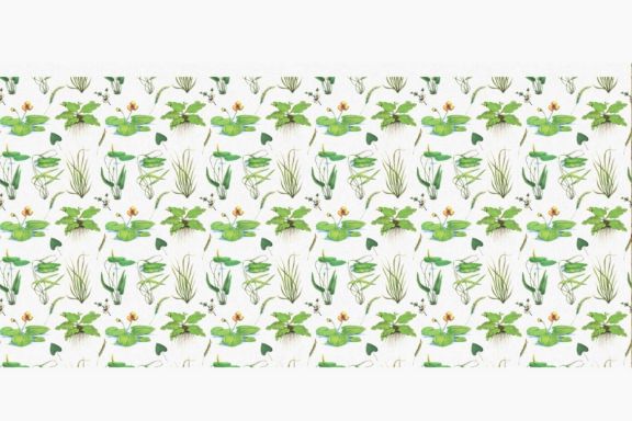 Water Plants Patterns