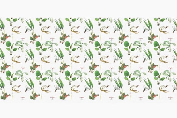 Water Plants Patterns