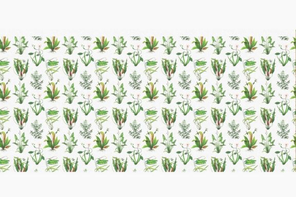 Water Plants Patterns