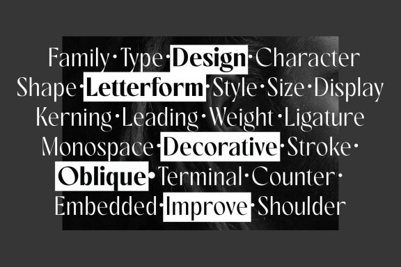 Rovaney – Fancy Font Family