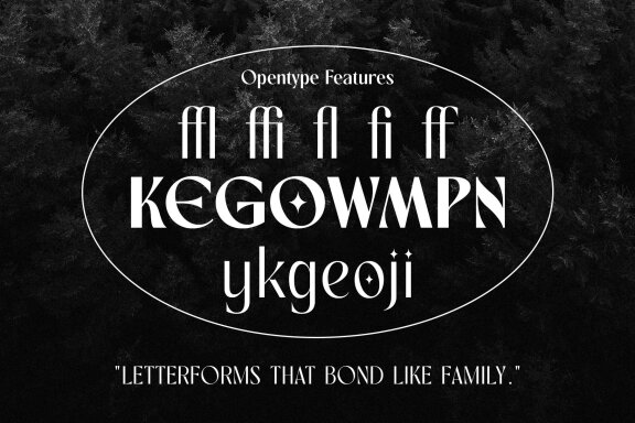 Rovaney – Fancy Font Family