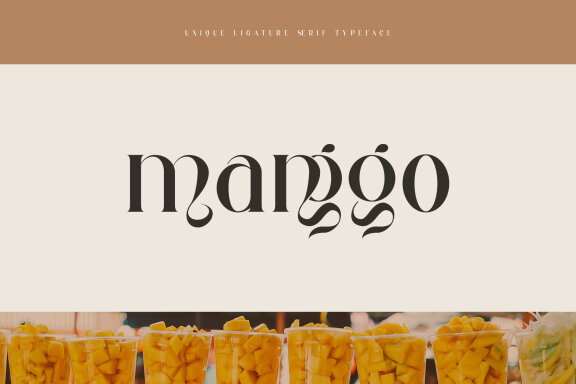 Jangor ligature serif typeface