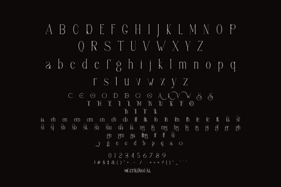 Safing ligature serif typeface
