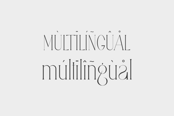 Safing ligature serif typeface