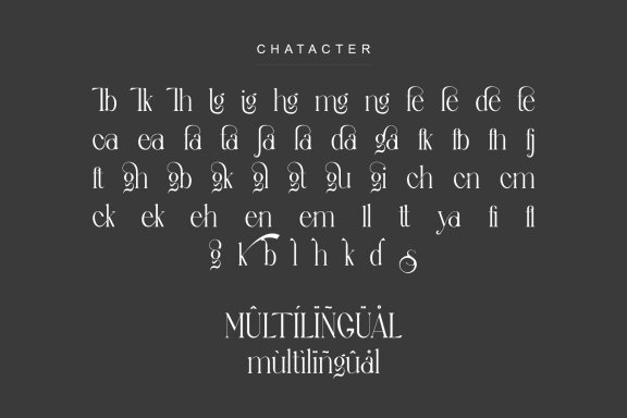 sagur unique ligature serif typeface