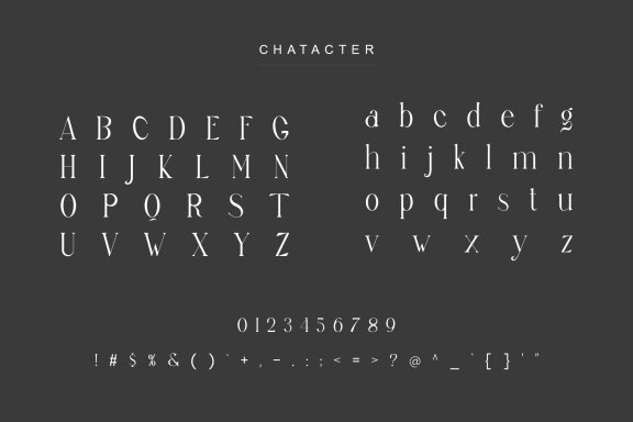 sagur unique ligature serif typeface
