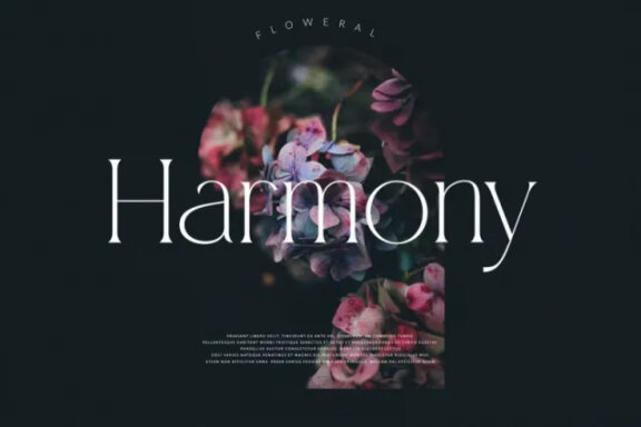 Malkova Modern Serif Font