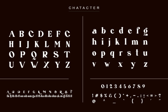 Bofie unique ligature serif typeface