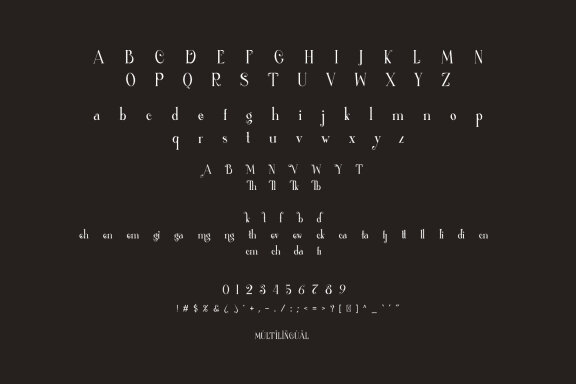 Thefang ligature serif typeface