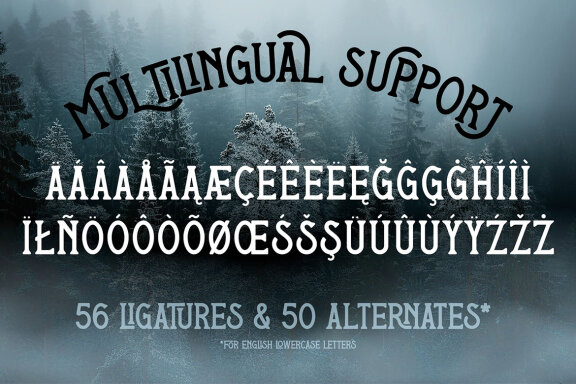 Nothern Woods Vintage Label Font