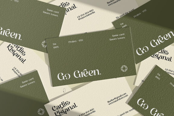 Kangki Stylish Serif