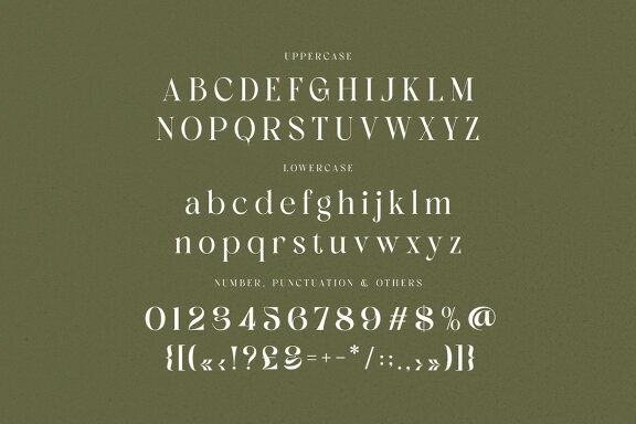 Kangki Stylish Serif