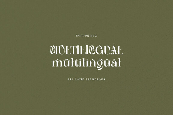 Kangki Stylish Serif