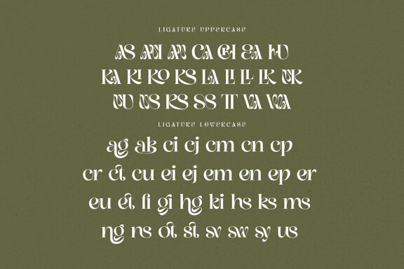 Kangki Stylish Serif