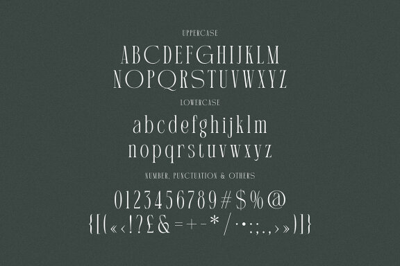 Martin Langley Elegant Serif