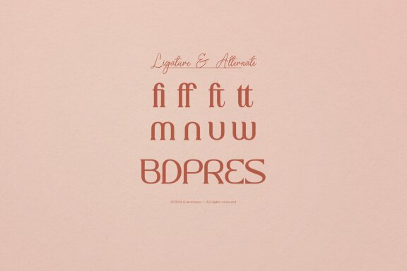 Noune | Modern Serif Font