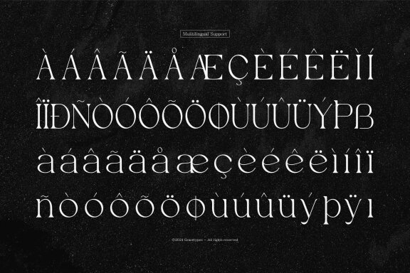 Evoxsy | Elegant Serif