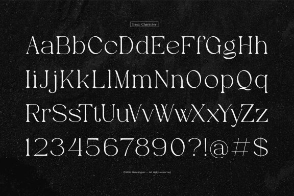 Evoxsy | Elegant Serif