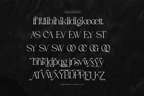 Evoxsy | Elegant Serif