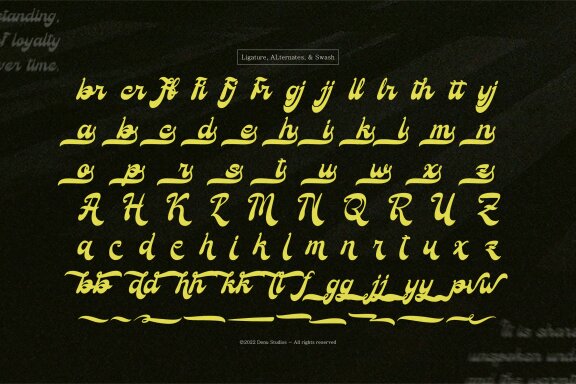 Love Simpathy | Bold Handwritten Script
