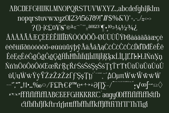 DT Hebrinks Typeface