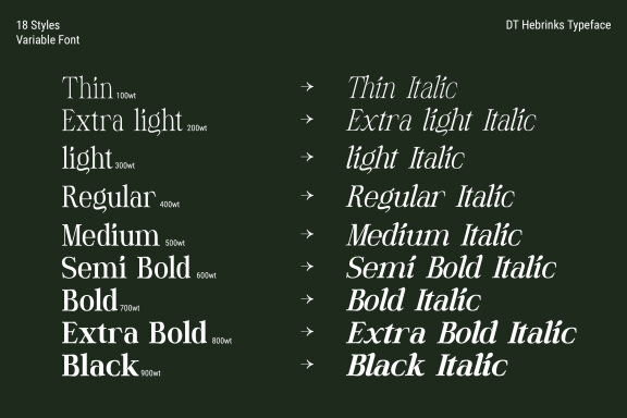DT Hebrinks Typeface